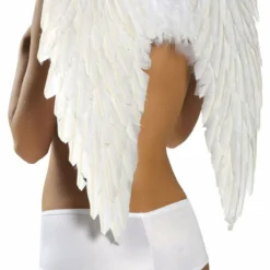 Roma Costume Feathered Wings ACCESORIES