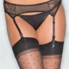 Be Wicked Lace Garter Belt Black LINGERIE