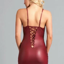 Be Wicked CLOTHING Elisa Dress Maroon