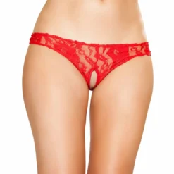 Roma Costume Cutout Lace Shorts Plus Size Lingerie