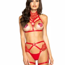 Roma Costume LINGERIE Open Bust & Crotchless Cage Set